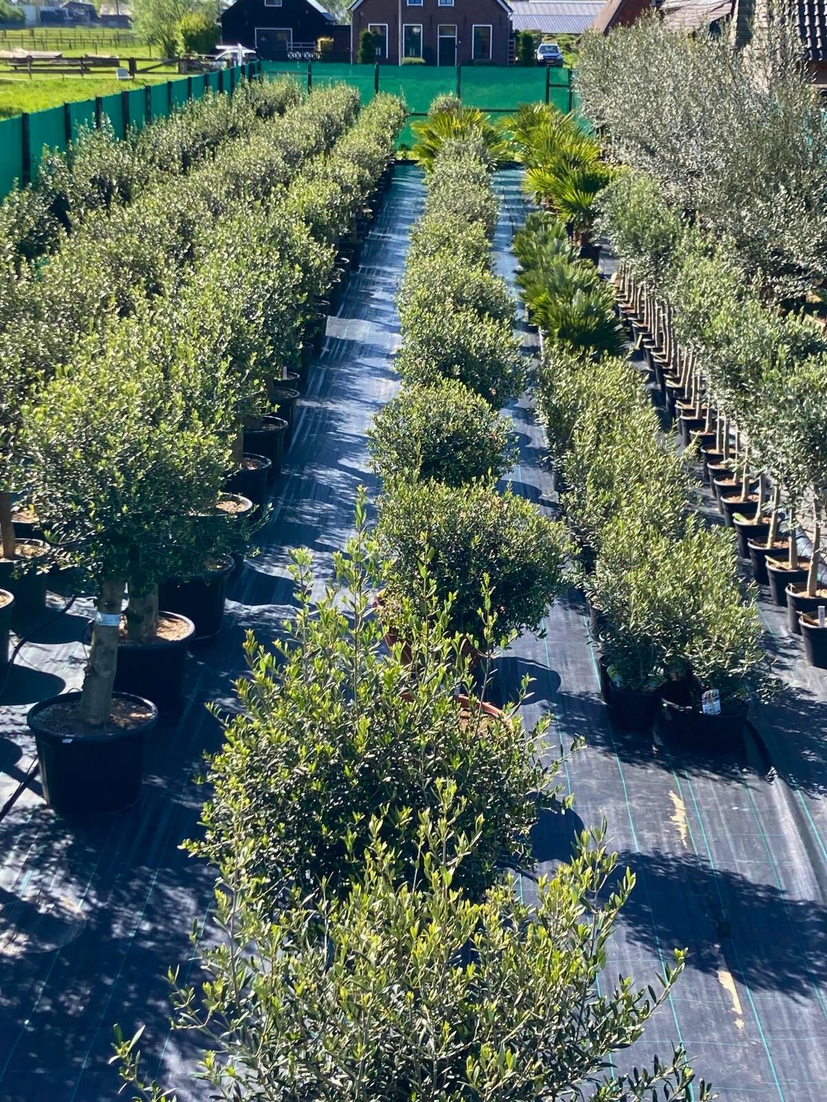 67b7edb8f4834d339cf3125434f293ef | Kwekerij Elma