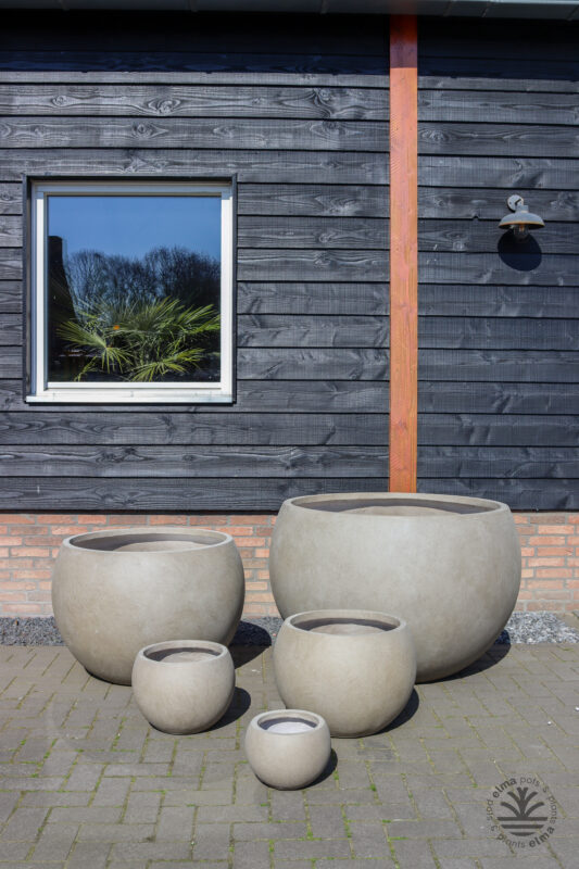 IMG6623 | Kwekerij Elma