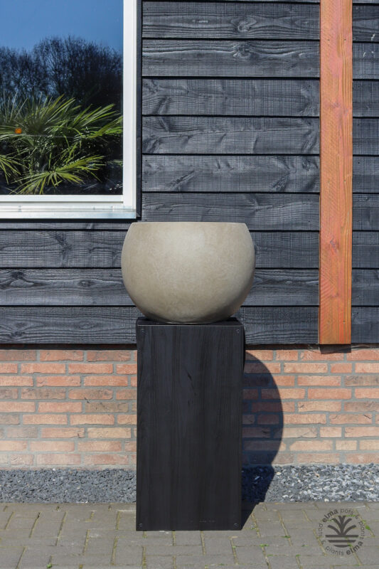 IMG6624 | Kwekerij Elma