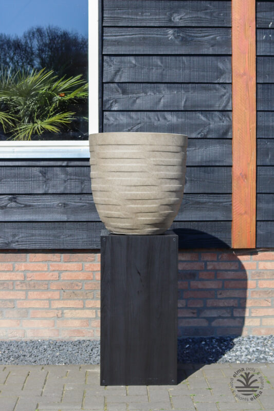 IMG6628 | Kwekerij Elma