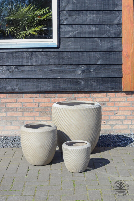 IMG6649 | Kwekerij Elma