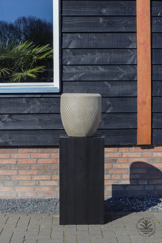 IMG6650 | Kwekerij Elma