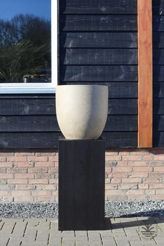 IMG6686 | Kwekerij Elma