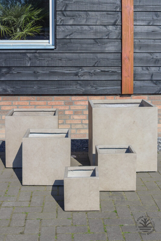 IMG6713 | Kwekerij Elma