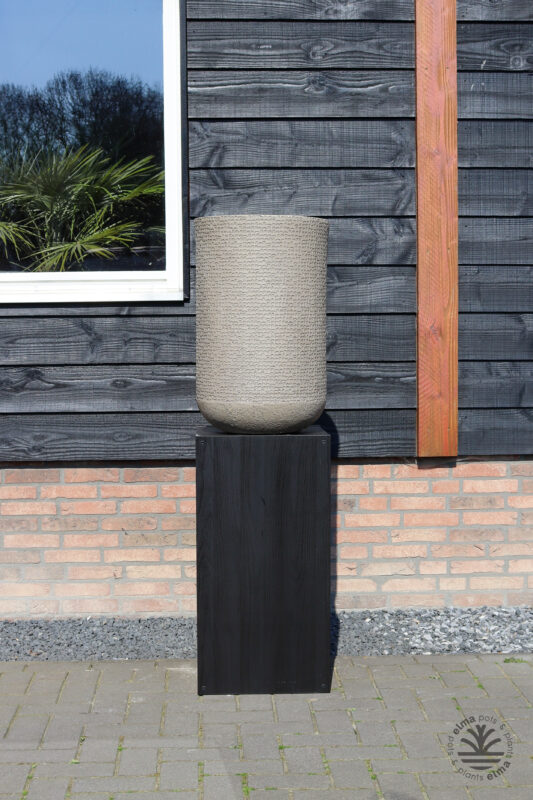 IMG6725 | Kwekerij Elma