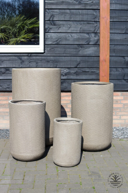 IMG6727 | Kwekerij Elma