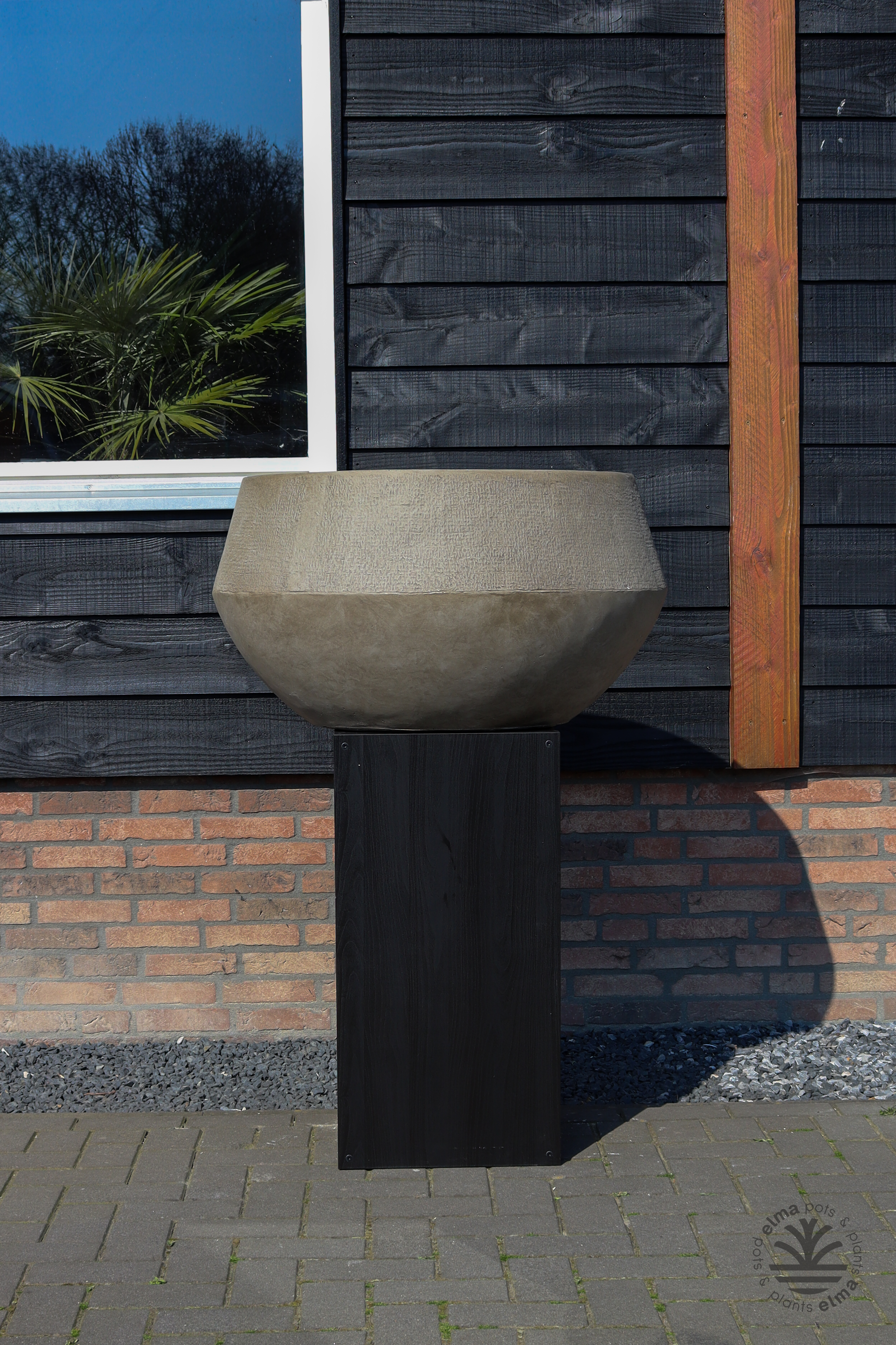 IMG6746 | Kwekerij Elma