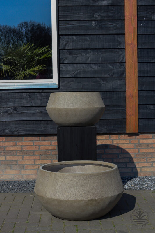 IMG6748 | Kwekerij Elma